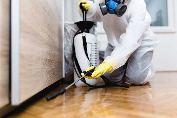 Best Exterminator Services  in Basking Ridge, NJ