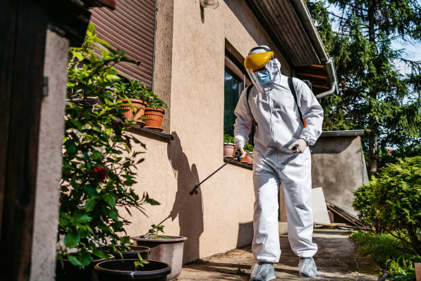Best Termite Control Services  in Basking Ridge, NJ