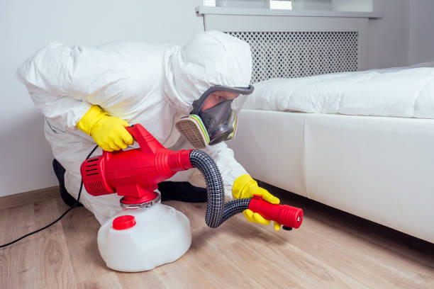 Trusted Basking Ridge, NJ Pest Control Experts