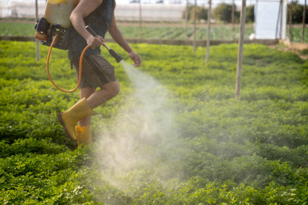 Best Pest Control Near Me in Basking Ridge, NJ