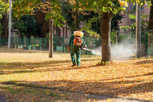 Best Rat Extermination Near Me  in Basking Ridge, NJ